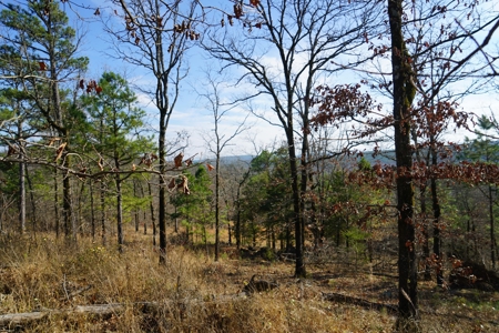 Southeastern Oklahoma Cabin Site Near National Forest - image 2