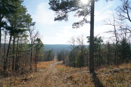 Southeastern Oklahoma Cabin Site Near National Forest - image 4