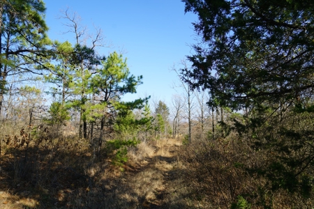 Southeastern Oklahoma Cabin Site Near National Forest - image 5