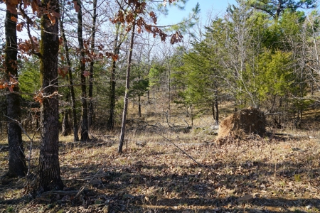 Southeastern Oklahoma Cabin Site Near National Forest - image 6