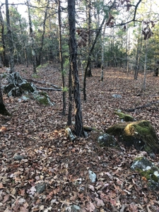 Cabin In Southeastern Oklahoma Adjoining National Forest - image 9