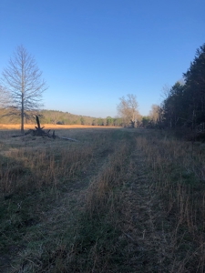 Cabin In Southeastern Oklahoma Adjoining National Forest - image 17