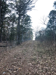 Cabin In Southeastern Oklahoma Adjoining National Forest - image 4
