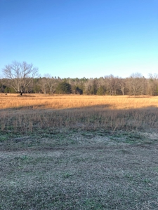 Cabin In Southeastern Oklahoma Adjoining National Forest - image 19