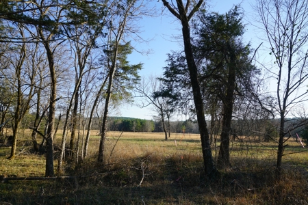 Cabin In Southeastern Oklahoma Adjoining National Forest - image 14