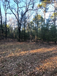 Cabin In Southeastern Oklahoma Adjoining National Forest - image 6