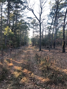 Cabin In Southeastern Oklahoma Adjoining National Forest - image 7