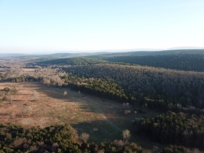 Cabin In Southeastern Oklahoma Adjoining National Forest - image 21
