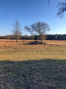 Cabin In Southeastern Oklahoma Adjoining National Forest - image 15