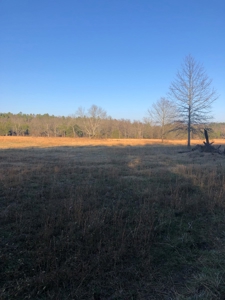 Cabin In Southeastern Oklahoma Adjoining National Forest - image 16