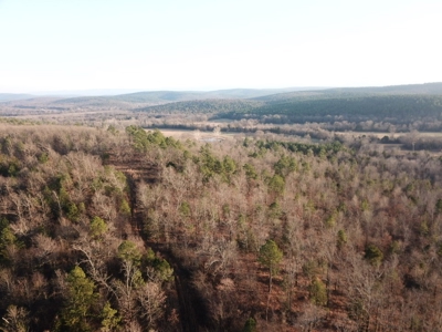 Cabin In Southeastern Oklahoma Adjoining National Forest - image 26