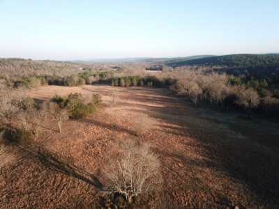 Cabin In Southeastern Oklahoma Adjoining National Forest - image 24