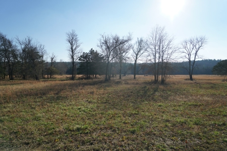 Cabin In Southeastern Oklahoma Adjoining National Forest - image 10