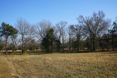 Cabin In Southeastern Oklahoma Adjoining National Forest - image 12