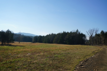 Cabin In Southeastern Oklahoma Joining National Forest - image 1