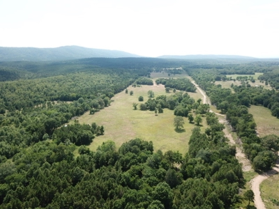 Cabin In Southeastern Oklahoma Joining National Forest - image 46