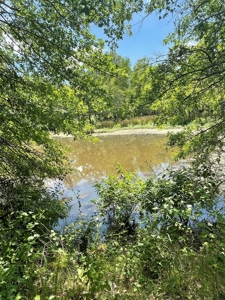 Cabin In Southeastern Oklahoma Joining National Forest - image 36