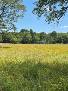 Cabin In Southeastern Oklahoma Joining National Forest - image 29