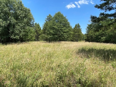 Cabin In Southeastern Oklahoma Joining National Forest - image 39
