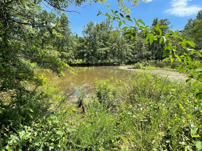 Cabin In Southeastern Oklahoma Joining National Forest - image 34