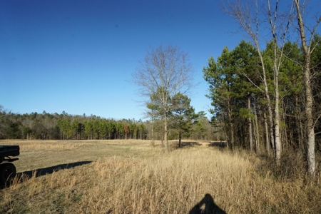 Cabin In Southeastern Oklahoma Joining National Forest - image 20