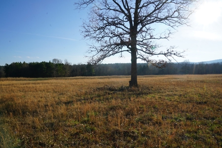 Cabin In Southeastern Oklahoma Joining National Forest - image 5