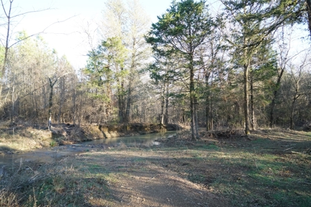 Cabin In Southeastern Oklahoma Joining National Forest - image 21
