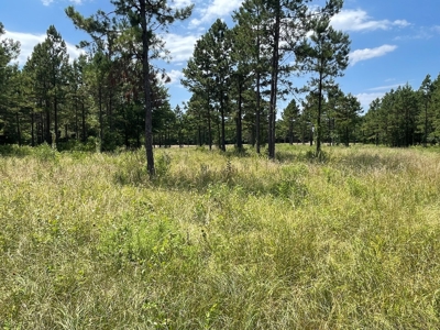 Cabin In Southeastern Oklahoma Joining National Forest - image 37