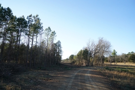 Cabin In Southeastern Oklahoma Joining National Forest - image 26