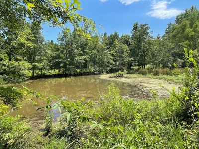 Cabin In Southeastern Oklahoma Joining National Forest - image 35
