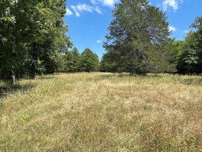 Cabin In Southeastern Oklahoma Joining National Forest - image 38