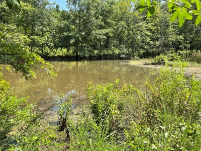 Cabin In Southeastern Oklahoma Joining National Forest - image 33