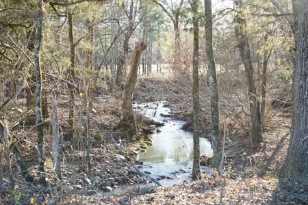 Cabin In Southeastern Oklahoma Joining National Forest - image 27