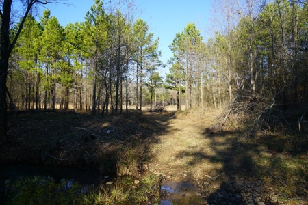 Cabin In Southeastern Oklahoma Joining National Forest - image 7