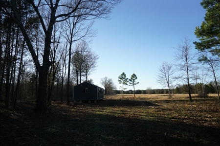 Cabin In Southeastern Oklahoma Joining National Forest - image 15