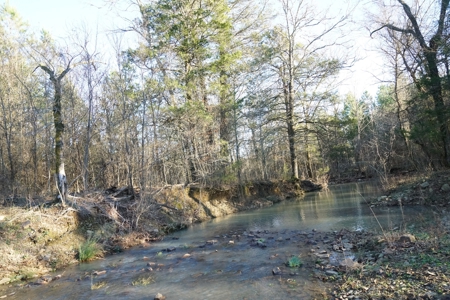 Cabin In Southeastern Oklahoma Joining National Forest - image 24