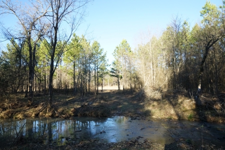 Cabin In Southeastern Oklahoma Joining National Forest - image 25