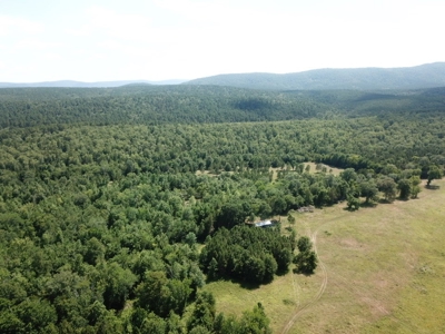 Cabin In Southeastern Oklahoma Joining National Forest - image 44