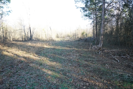 Cabin In Southeastern Oklahoma Joining National Forest - image 14