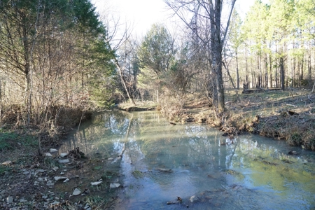 Cabin In Southeastern Oklahoma Joining National Forest - image 23