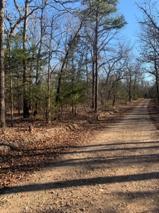 EASY LAKE ACCESS to BULL SHOALS - image 8