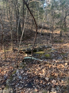 EASY LAKE ACCESS to BULL SHOALS - image 3