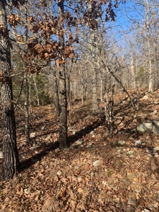 EASY LAKE ACCESS to BULL SHOALS - image 1