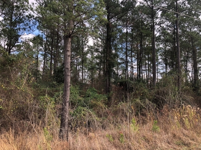 East Texas Land For Sale Cass County Texas - image 3