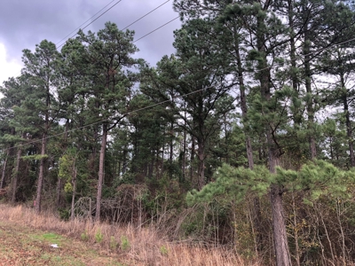 East Texas Land For Sale Cass County Texas - image 1