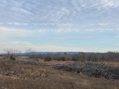 Land For Sale Mountain Views In Buffalo Valley - Talihina Ok - image 1