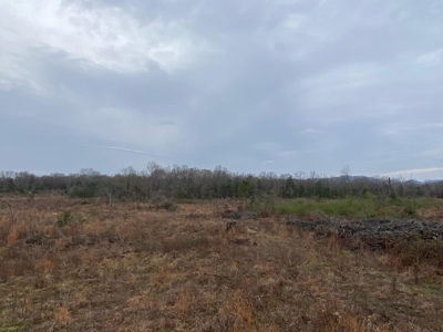 Land For Sale Mountain Views In Buffalo Valley - Talihina Ok - image 5
