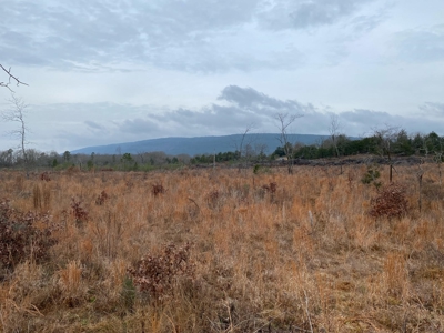 Land For Sale Mountain Views In Buffalo Valley - Talihina Ok - image 6