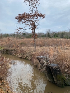 Land For Sale Mountain Views In Buffalo Valley - Talihina Ok - image 9