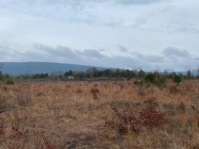 Land For Sale Mountain Views In Buffalo Valley - Talihina Ok - image 8
